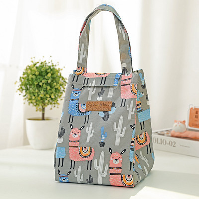 Priešpiečių krepšys, atsparus vandeniui, izoliuotas lauko iškylų dėžė moterims, mergaitėms, vaikams, įvairiaspalvis nešiojamas