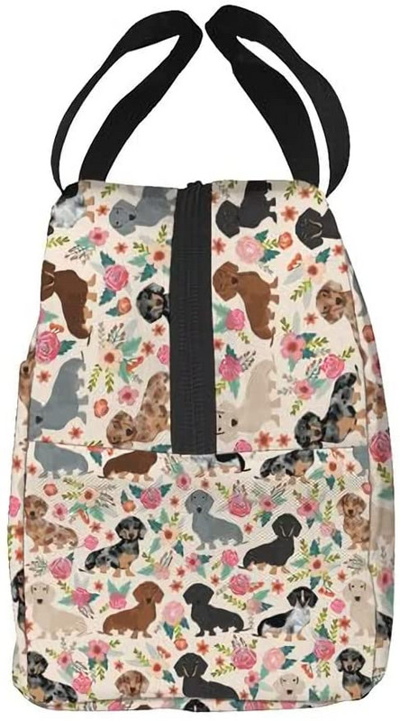 Takso šunų nešiojamas pietų krepšys, izoliuotas aušintuvas, skirtas kelionių iškylai darbo mokyklai