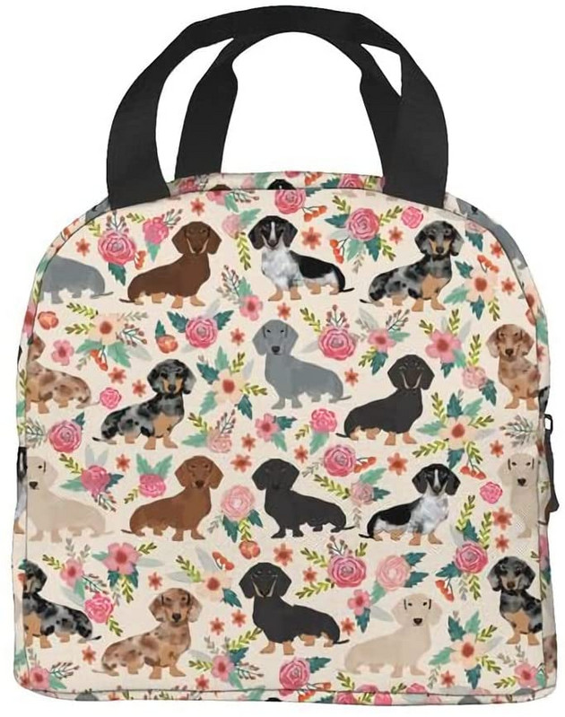 Takso šunų nešiojamas pietų krepšys, izoliuotas aušintuvas, skirtas kelionių iškylai darbo mokyklai