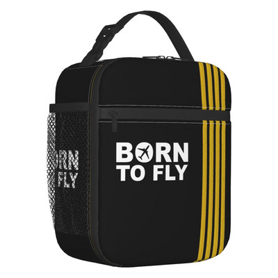 Išvalytas, skirtas kilimui ir tūpimui, atnaujinamų pietų dėžutė moterims aviatorėms pilotėms, terminiams aušintuvams su maistu izoliuotų pietų krepšių mokykla