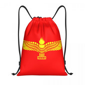 „Aramean Suryoyo“ logotipas sutraukiamas kuprinės krepšiai vyrams, moterims, lengvi, Sirijos Asirijos vėliava, sporto salė, sportiniai krepšiai, krepšiai apsipirkti