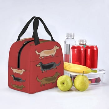 Kawaii Dachshund Dogs Insulated Lunch Tote Bag for Women Wiener Sausage Dog Portable Cooler Thermal Bento Box Work School Travel