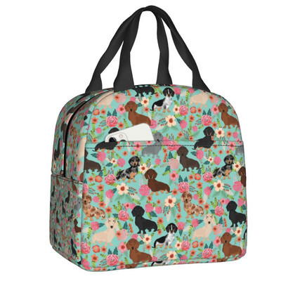 Kawaii Dachshund Dogs Izoliuotas pietų krepšys moterims Wiener Sausage Dog Nešiojamas aušintuvas terminis Bento Box Work School Kelionės