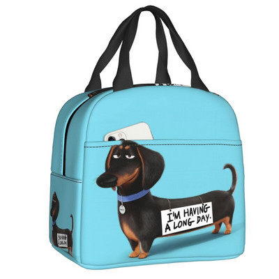 Kawaii Dachshund Dogs Izoliuotas pietų krepšys moterims Wiener Sausage Dog Nešiojamas aušintuvas terminis Bento Box Work School Kelionės