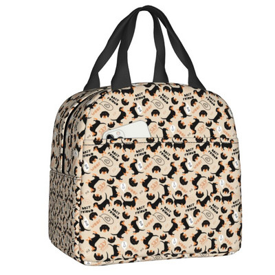 Kawaii Dachshund Dogs Izoliuotas pietų krepšys moterims Wiener Sausage Dog Nešiojamas aušintuvas terminis Bento Box Work School Kelionės