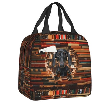 Kawaii Dachshund Dogs Izoliuotas pietų krepšys moterims Wiener Sausage Dog Nešiojamas aušintuvas terminis Bento Box Work School Kelionės