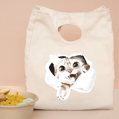 Termalna torba za ručak i večeru Organizator Mačji print na platnu Dječja škola Piknik Putna kutija za doručak Izolirane ručne torbe za hranu Torbe za hlađenje