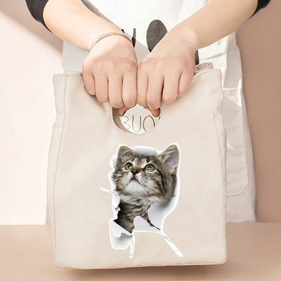 Termalna torba za ručak i večeru Organizator Mačji print na platnu Dječja škola Piknik Putna kutija za doručak Izolirane ručne torbe za hranu Torbe za hlađenje