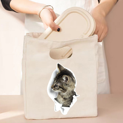 Termalna torba za ručak i večeru Organizator Mačji print na platnu Dječja škola Piknik Putna kutija za doručak Izolirane ručne torbe za hranu Torbe za hlađenje