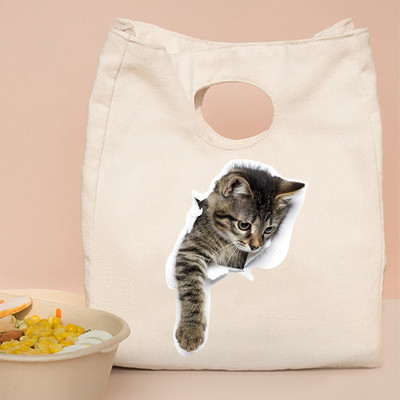 Termalna torba za ručak i večeru Organizator Mačji print na platnu Dječja škola Piknik Putna kutija za doručak Izolirane ručne torbe za hranu Torbe za hlađenje