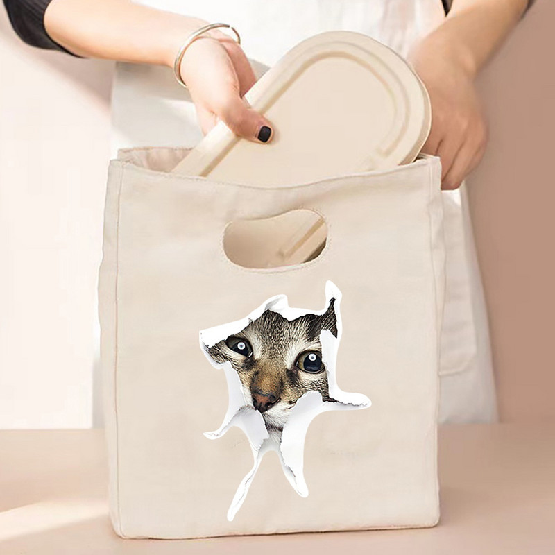 Termalna torba za ručak i večeru Organizator Mačji print na platnu Dječja škola Piknik Putna kutija za doručak Izolirane ručne torbe za hranu Torbe za hlađenje