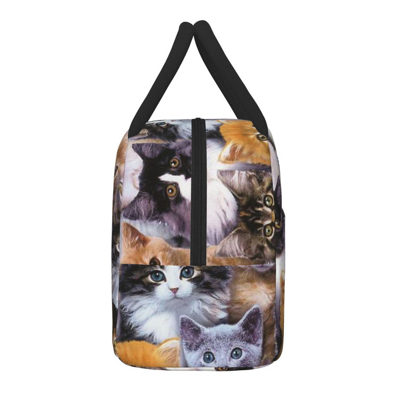 Geantă portabilă de prânz Geantă termoizolată pentru picnic Cutie drăguță cu model de pisică cu imprimare geantă termică Bento Container pentru prânz Saci de depozitare a alimentelor