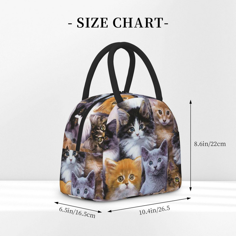 Geantă portabilă de prânz Geantă termoizolată pentru picnic Cutie drăguță cu model de pisică cu imprimare geantă termică Bento Container pentru prânz Saci de depozitare a alimentelor
