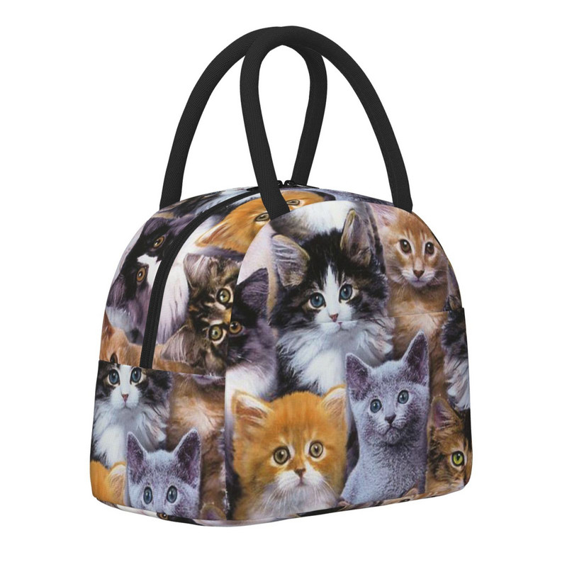 Geantă portabilă de prânz Geantă termoizolată pentru picnic Cutie drăguță cu model de pisică cu imprimare geantă termică Bento Container pentru prânz Saci de depozitare a alimentelor