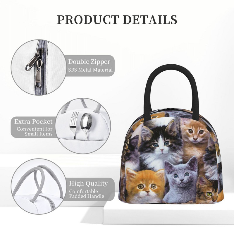 Geantă portabilă de prânz Geantă termoizolată pentru picnic Cutie drăguță cu model de pisică cu imprimare geantă termică Bento Container pentru prânz Saci de depozitare a alimentelor