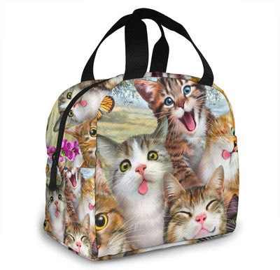 Smiješne slatke mačke, izolirana torba za ručak, prijenosna termalna kutija za hlađenje, višekratna torba za piknik Bento torba za žene, djecu, posao, škola, putovanja