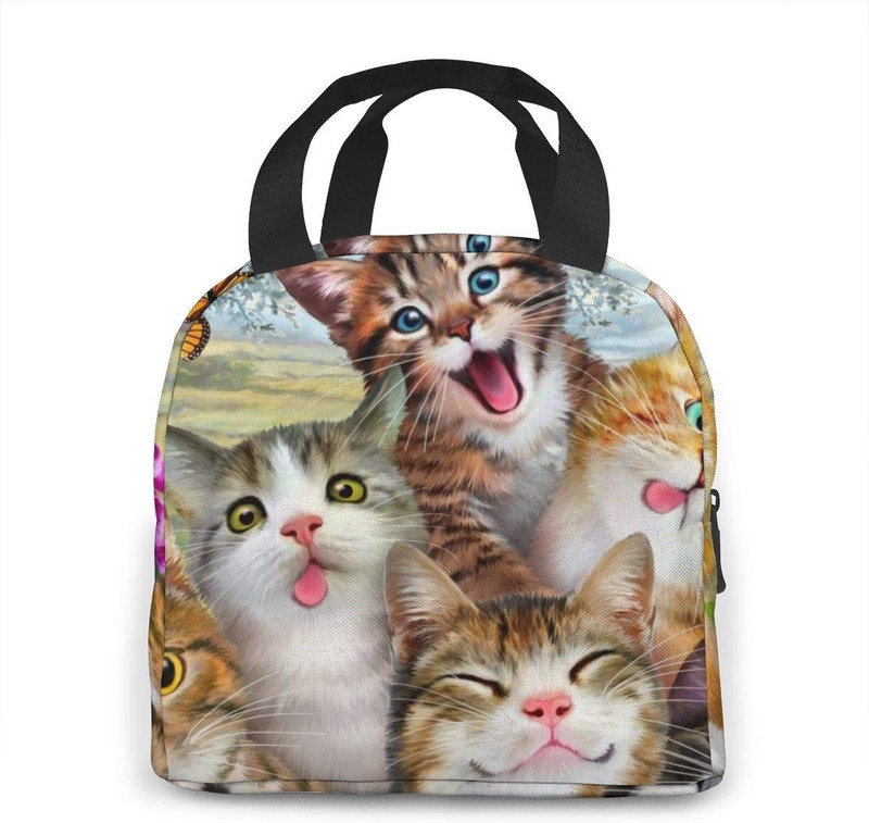 Smiješne slatke mačke, izolirana torba za ručak, prijenosna termalna kutija za hlađenje, višekratna torba za piknik Bento torba za žene, djecu, posao, škola, putovanja