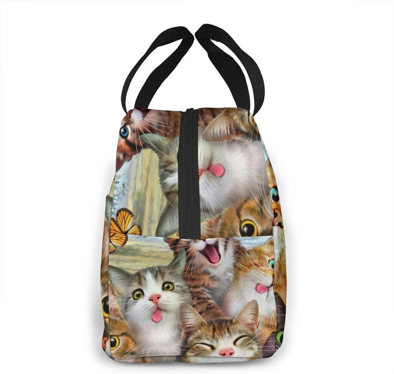 Smiješne slatke mačke, izolirana torba za ručak, prijenosna termalna kutija za hlađenje, višekratna torba za piknik Bento torba za žene, djecu, posao, škola, putovanja