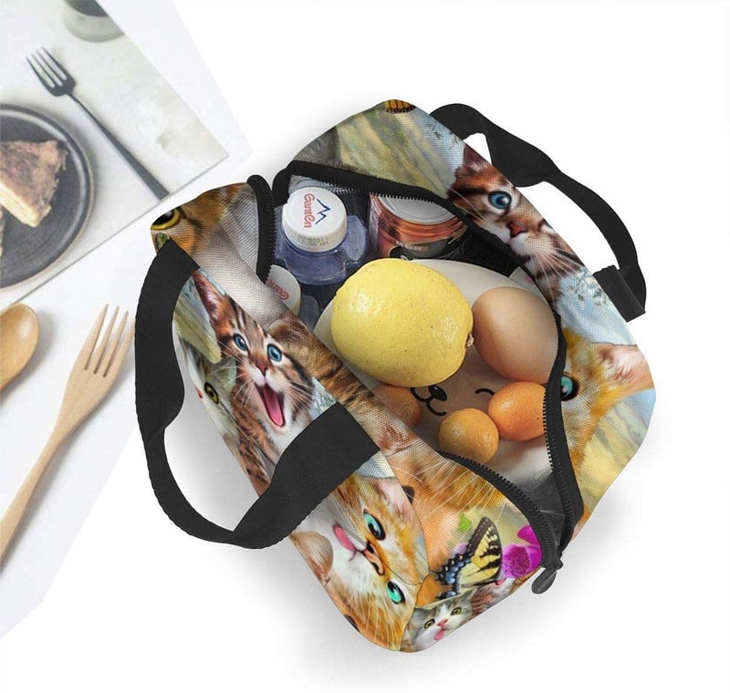 Smiješne slatke mačke, izolirana torba za ručak, prijenosna termalna kutija za hlađenje, višekratna torba za piknik Bento torba za žene, djecu, posao, škola, putovanja