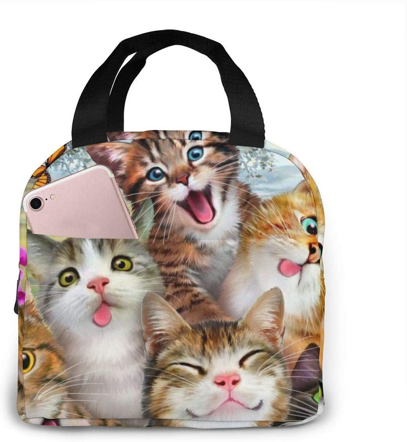 Smiješne slatke mačke, izolirana torba za ručak, prijenosna termalna kutija za hlađenje, višekratna torba za piknik Bento torba za žene, djecu, posao, škola, putovanja