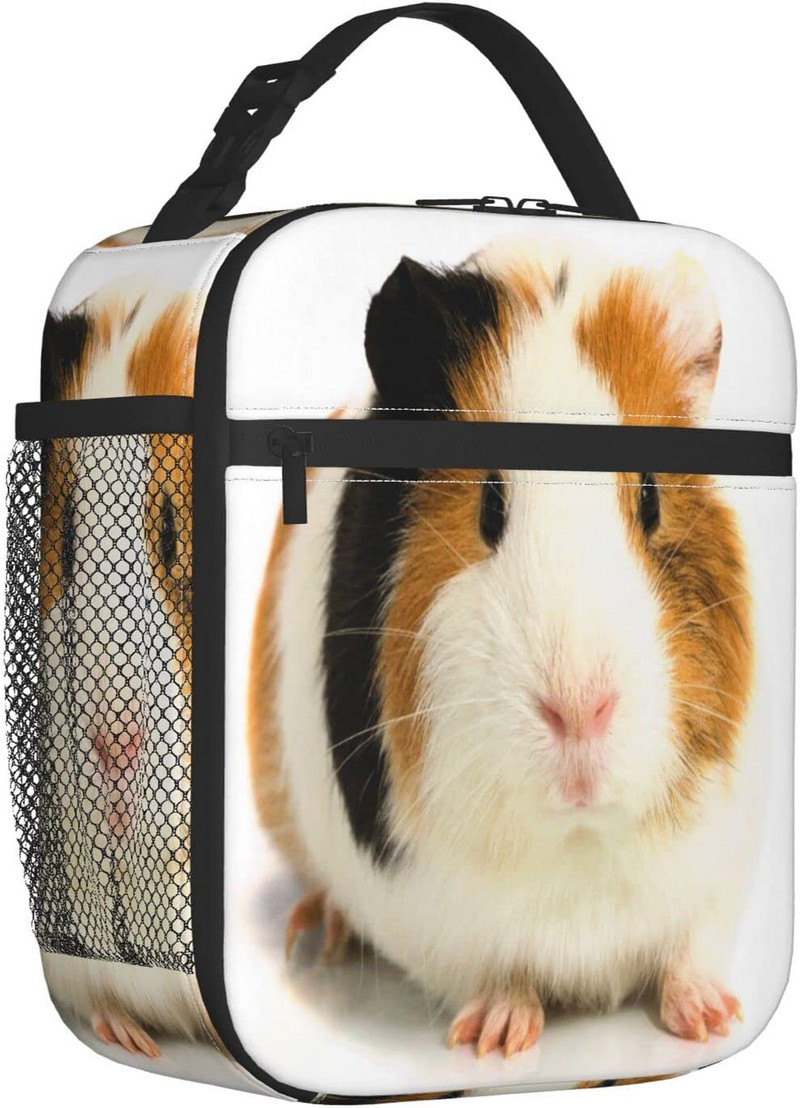 Miela jūrų kiaulytės priešpiečių dėžutė, nešiojamasis izoliacinis krepšys, nepralaidus priešpiečių aušintuvas, skirtas mokyklos darbui Biuro iškylai paplūdimyje, minkštas užšaldomas