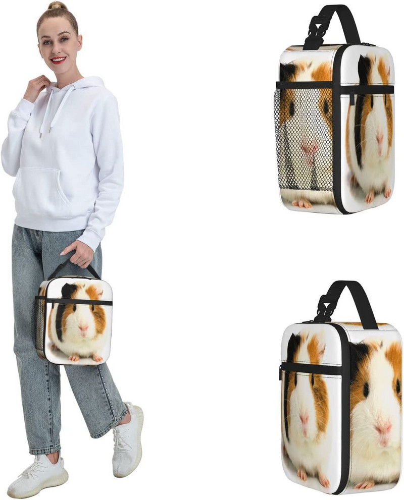 Miela jūrų kiaulytės priešpiečių dėžutė, nešiojamasis izoliacinis krepšys, nepralaidus priešpiečių aušintuvas, skirtas mokyklos darbui Biuro iškylai paplūdimyje, minkštas užšaldomas