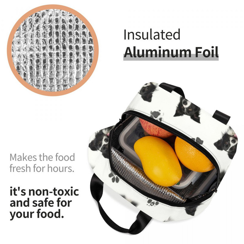 Pielāgota Borderkollija pusdienu soma sievietēm ar termo dzesētāju izolētas pusdienu kastes bērniem skolas bērniem augļu svaigu uzglabāšanas soma