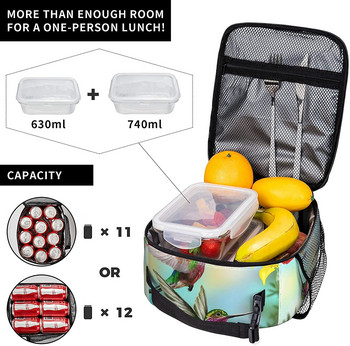 Beautiful Birds Hummingbirds Insulated Lunch Bag Box για Γυναίκες Αγόρια Κορίτσια Επαναχρησιμοποιήσιμη Θερμική τσάντα για πικνίκ εργασίας στο σχολείο