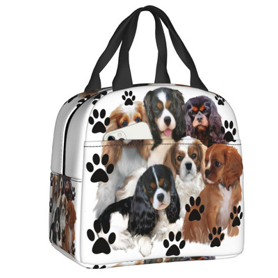 Cavalier King Charles Spaniel Izolirana torba za ručak za žene ljubitelje pasa Prijenosni toplinski hladnjak Školska kutija za ručak