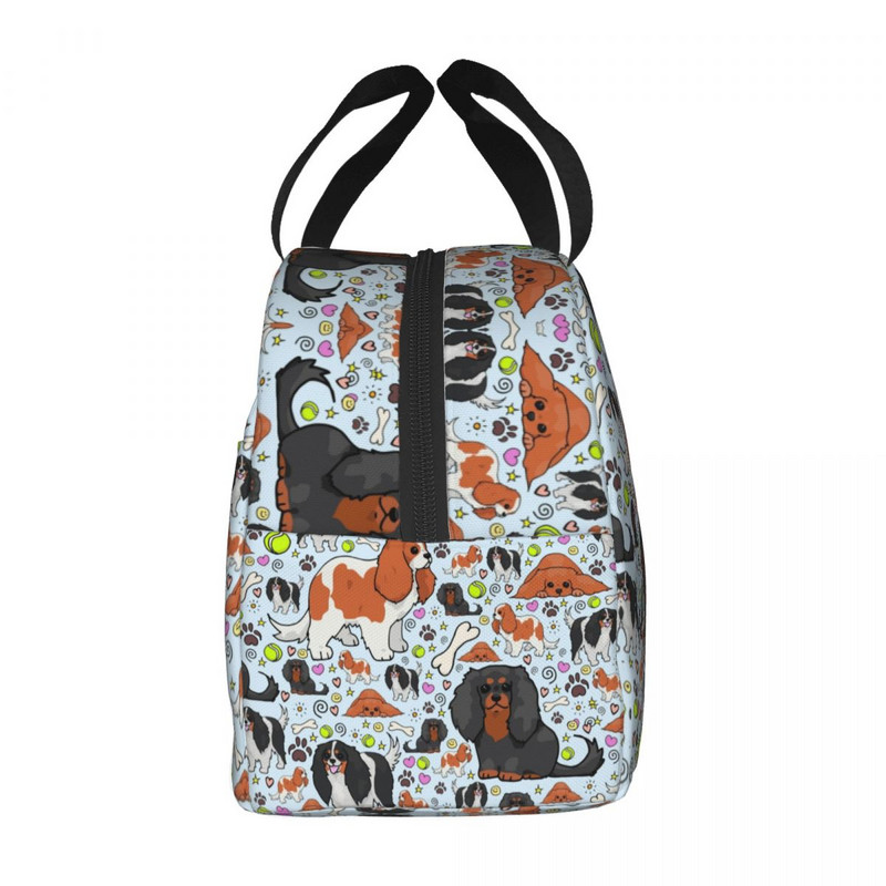 Cavalier King Charles Spaniel Izolirana torba za ručak za žene ljubitelje pasa Prijenosni toplinski hladnjak Školska kutija za ručak