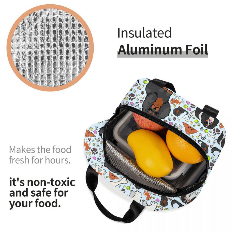 Cavalier King Charles Spaniel Izolirana torba za ručak za žene ljubitelje pasa Prijenosni toplinski hladnjak Školska kutija za ručak