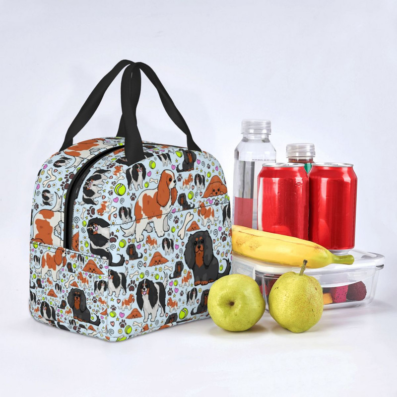 Cavalier King Charles Spaniel Izolirana torba za ručak za žene ljubitelje pasa Prijenosni toplinski hladnjak Školska kutija za ručak