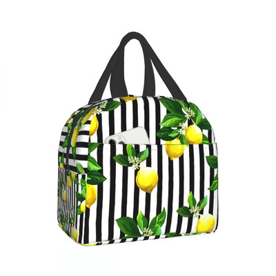 Citrinos ant dryžuoto pietų krepšio moterims, vyrų izoliuota priešpiečių dėžutė suaugusiems, daugkartinio naudojimo pietų krepšys darbui, iškylai, mokyklai