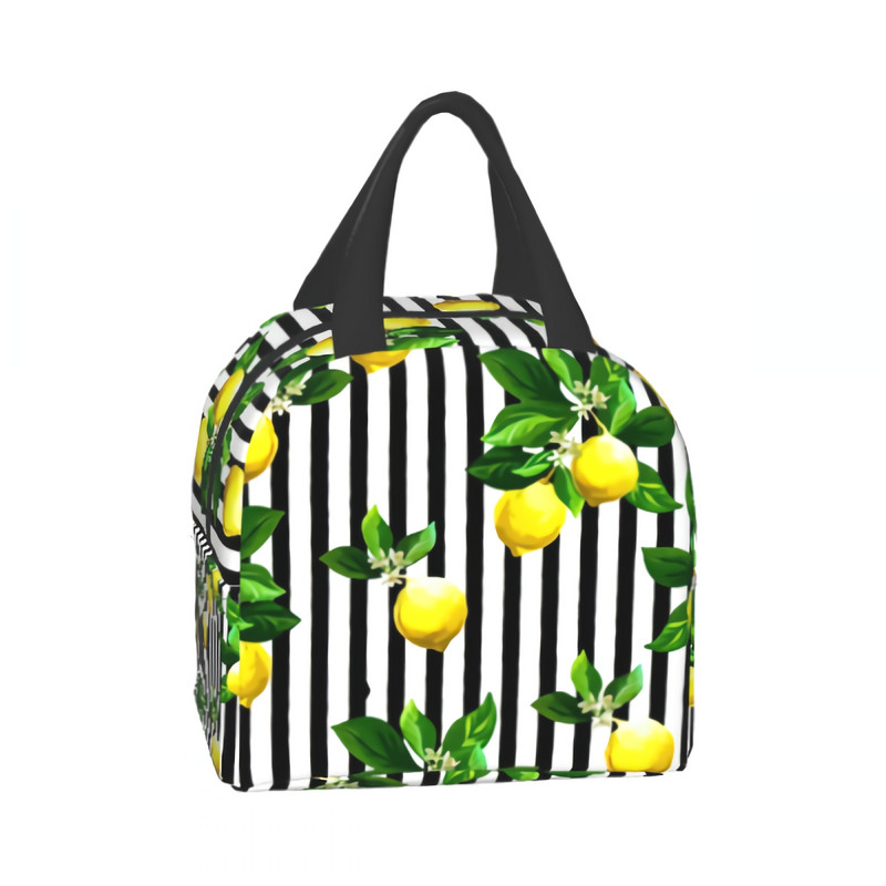 Citrinos ant dryžuoto pietų krepšio moterims, vyrų izoliuota priešpiečių dėžutė suaugusiems, daugkartinio naudojimo pietų krepšys darbui, iškylai, mokyklai
