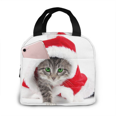 Naljakas kassilõuend kaasaskantav jahutuskott Mood soojusisolatsiooniga toidukotid Toidupikniku lõunakarbi kott meestele, naistele, lastele