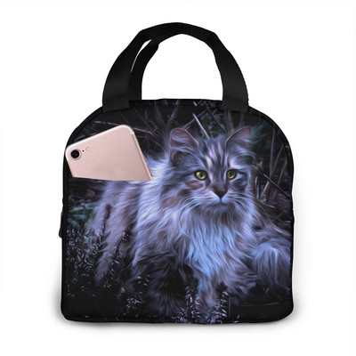 Naljakas kassilõuend kaasaskantav jahutuskott Mood soojusisolatsiooniga toidukotid Toidupikniku lõunakarbi kott meestele, naistele, lastele