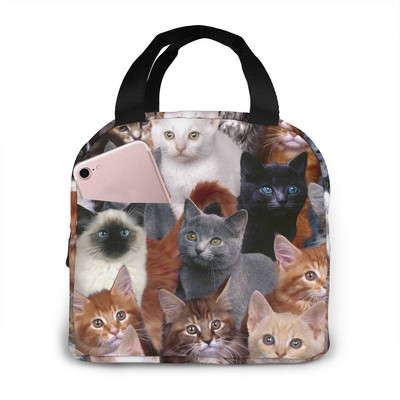 Naljakas kassilõuend kaasaskantav jahutuskott Mood soojusisolatsiooniga toidukotid Toidupikniku lõunakarbi kott meestele, naistele, lastele