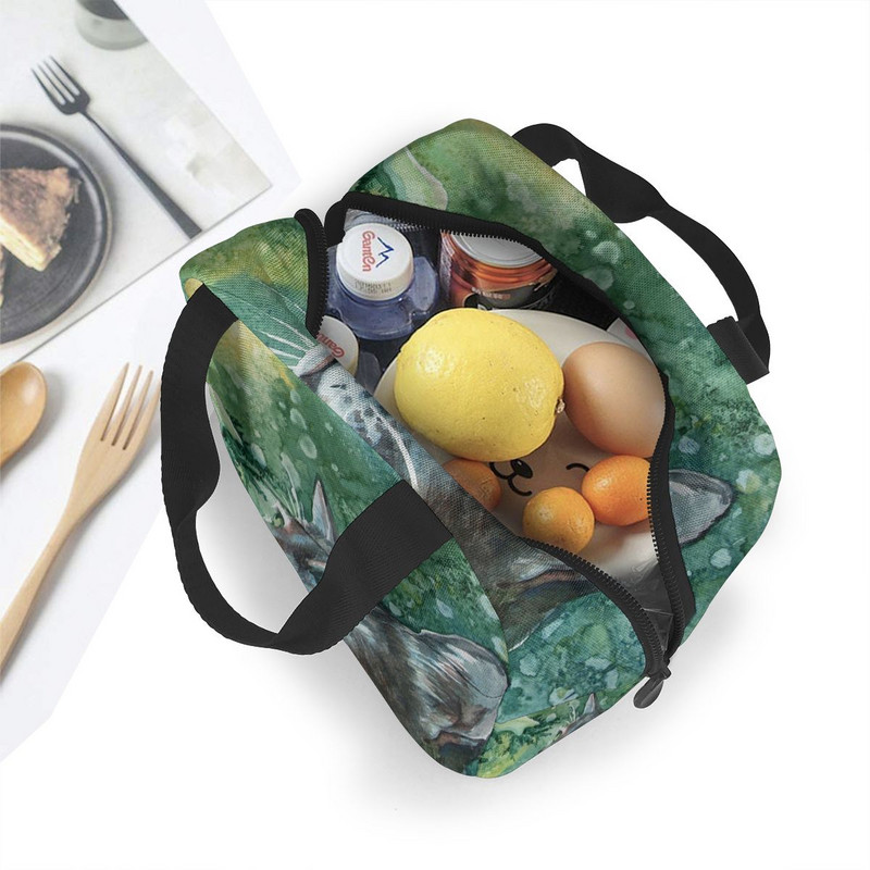 Naljakas kassilõuend kaasaskantav jahutuskott Mood soojusisolatsiooniga toidukotid Toidupikniku lõunakarbi kott meestele, naistele, lastele