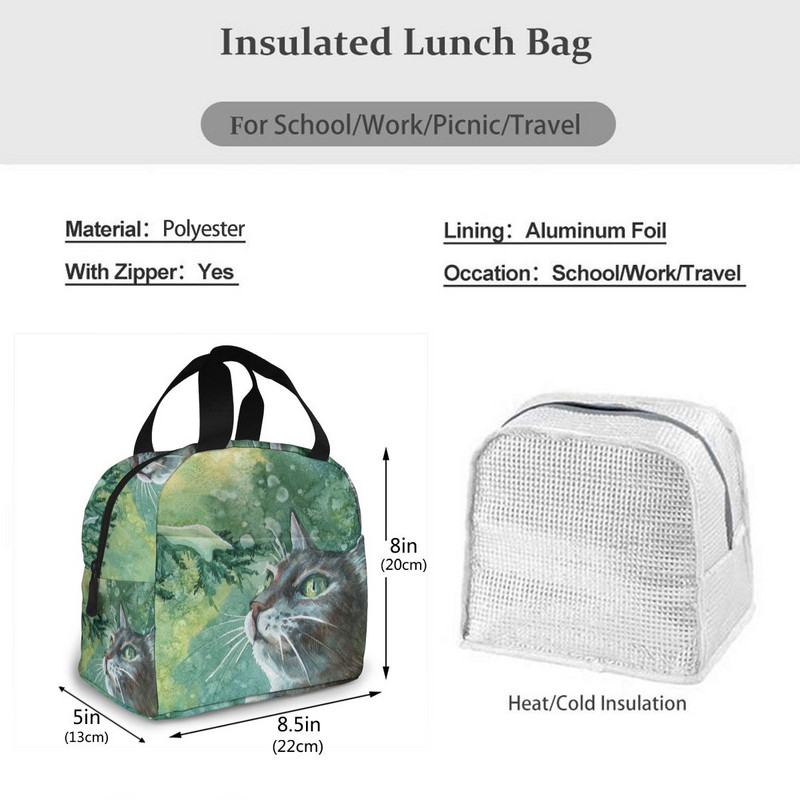 Naljakas kassilõuend kaasaskantav jahutuskott Mood soojusisolatsiooniga toidukotid Toidupikniku lõunakarbi kott meestele, naistele, lastele