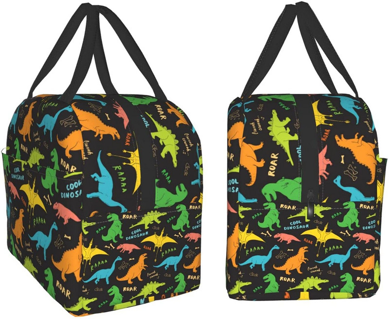 Cutie de prânz colorată cu dinozaur, geantă de prânz termoizolantă reutilizabilă, cutie frigorifică, cu închidere cu fermoar din buzunar frontal pentru femei/bărbați/fete