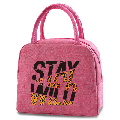 Γυναικεία τσάντα μεσημεριανού γεύματος θερμομονωμένη φορητή θήκη πικνίκ Ταξίδι σε εξωτερικούς χώρους Τσάντες μεσημεριανού γεύματος Κουτί αποθήκευσης τροφίμων Tote Θήκη μεσημεριανού γεύματος για το παιδί