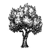 1 vnt. medžio skaidrus skaidrus silikoninis antspaudas Scrapbooking trafaretas dažymo dienoraščio priedai Dekoratyviniai biuro reikmenys mokykloms