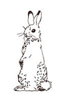 Jauki vāveres dzīvnieku roņi DIY Dekorācijas zīmogs Koka gumijas zīmogi Scrapbooking žurnālu dienasgrāmatas kancelejas preces standarta zīmogs