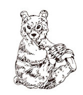 Jauki vāveres dzīvnieku roņi DIY Dekorācijas zīmogs Koka gumijas zīmogi Scrapbooking žurnālu dienasgrāmatas kancelejas preces standarta zīmogs