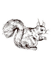 Jauki vāveres dzīvnieku roņi DIY Dekorācijas zīmogs Koka gumijas zīmogi Scrapbooking žurnālu dienasgrāmatas kancelejas preces standarta zīmogs