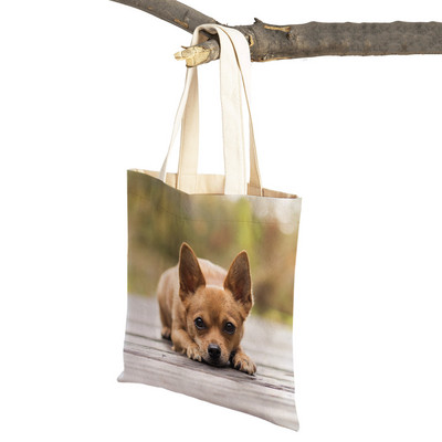 Slatki mali pas, čivava, ležerna torba za kupovinu, ljupki kućni ljubimac, dvostruko otisnuta platnena torbica za višekratnu upotrebu, studentska torbica