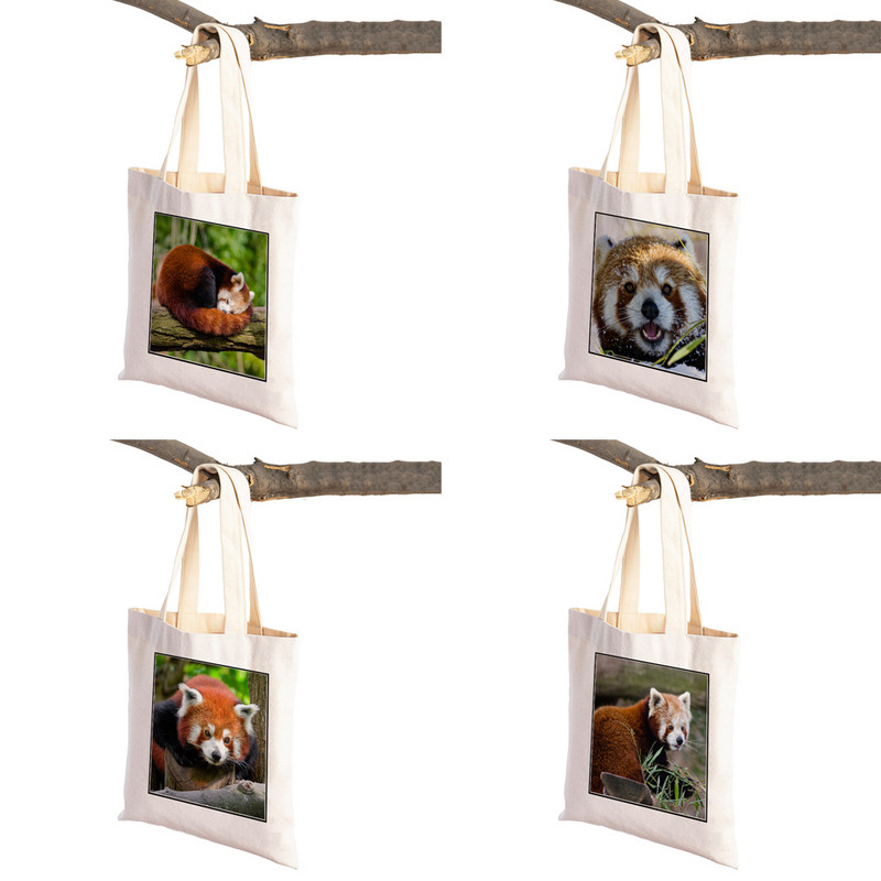 ​Aranyos Red Panda Lady bevásárlótáskák Lovely vadállatok szupermarket vásárlói táska Összehajtható, újrafelhasználható női vászon utazótáska
