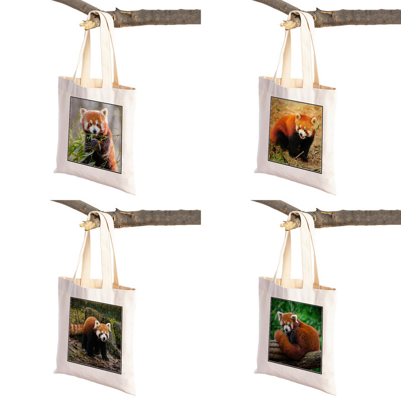 ​Aranyos Red Panda Lady bevásárlótáskák Lovely vadállatok szupermarket vásárlói táska Összehajtható, újrafelhasználható női vászon utazótáska