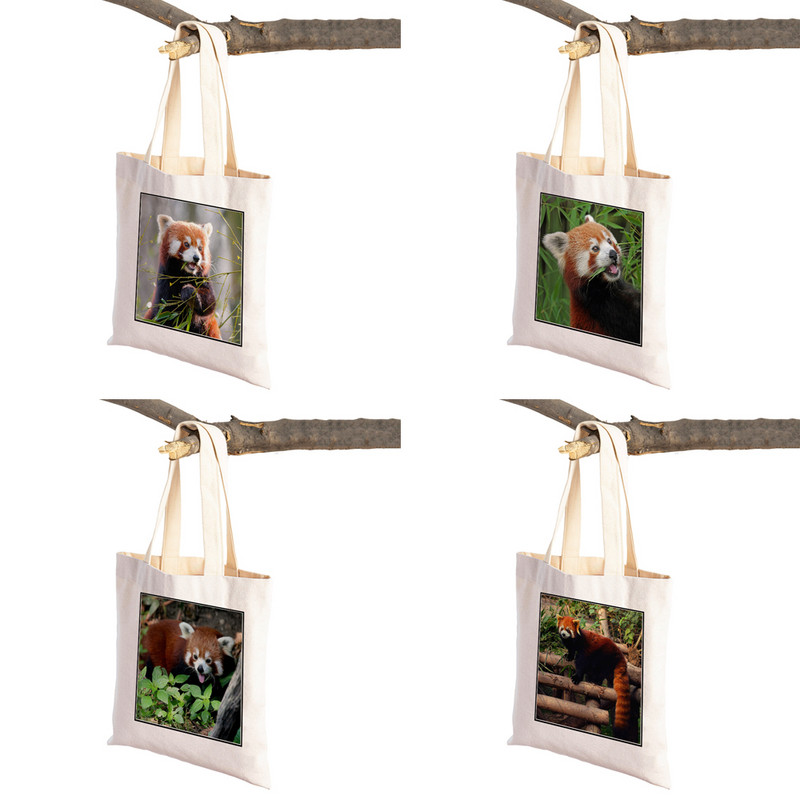 ​Aranyos Red Panda Lady bevásárlótáskák Lovely vadállatok szupermarket vásárlói táska Összehajtható, újrafelhasználható női vászon utazótáska