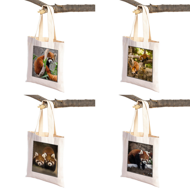 ​Aranyos Red Panda Lady bevásárlótáskák Lovely vadállatok szupermarket vásárlói táska Összehajtható, újrafelhasználható női vászon utazótáska